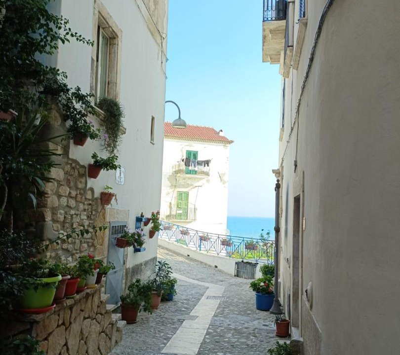 Photo of Others in Rodi Garganico