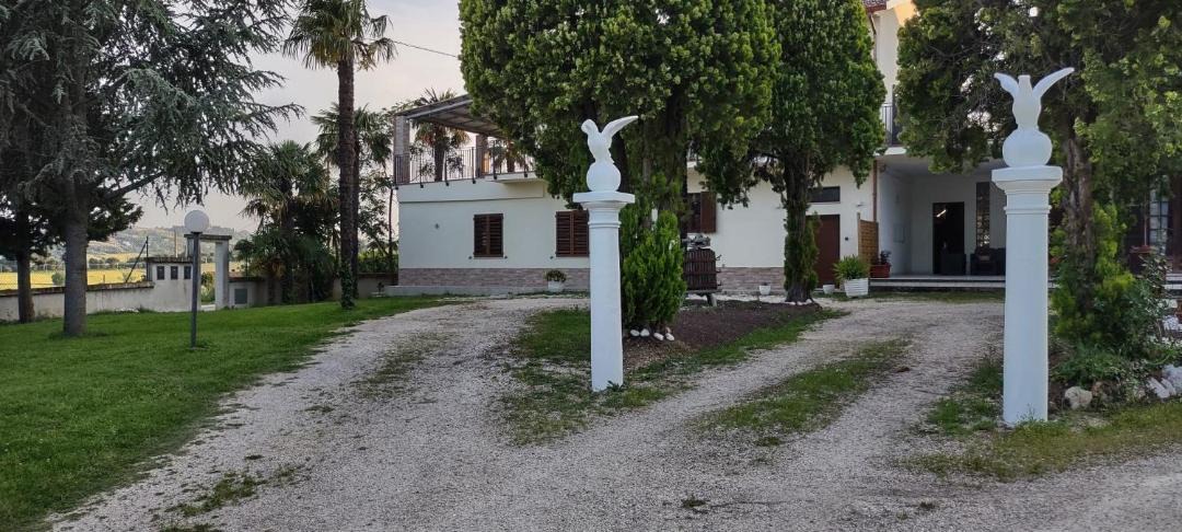 Photo of Others in Osimo