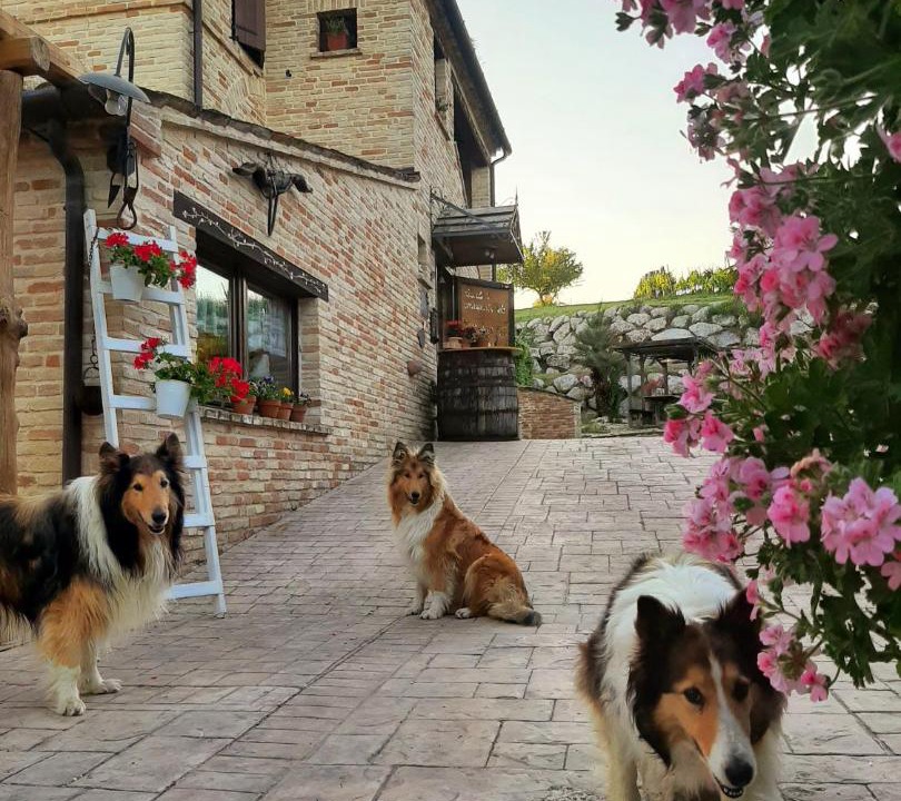 Photo of Others in Montefano