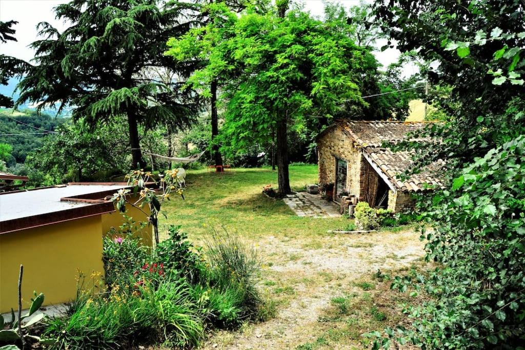 Photo of Others in Montefelcino