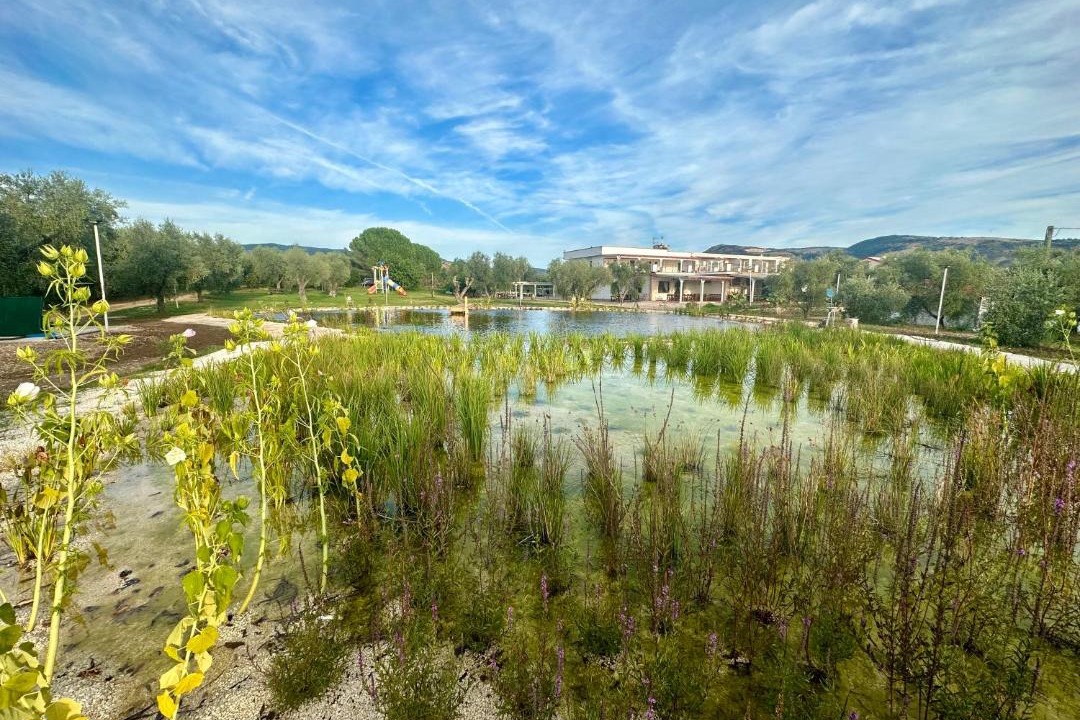 Photo of Others in Carpino