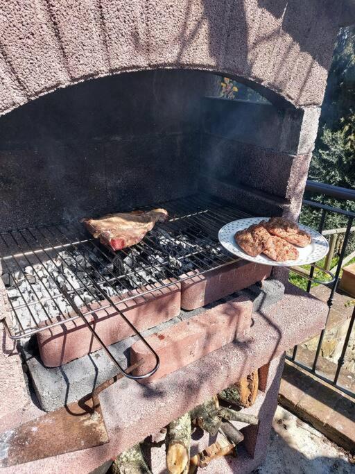 Photo of Others in Montecatini Val di Cecina