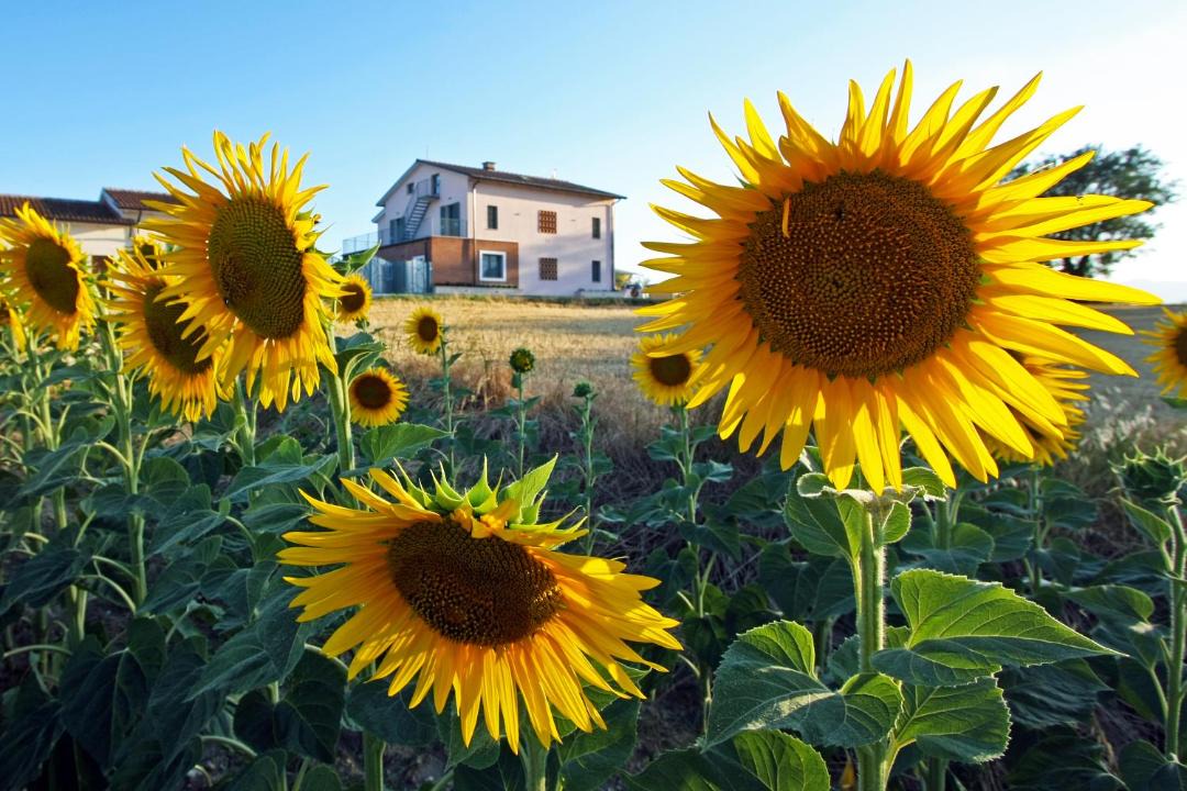 Photo of Others in Montecastrilli