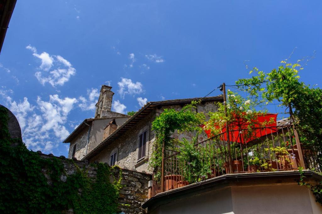 Photo of Others in Narni