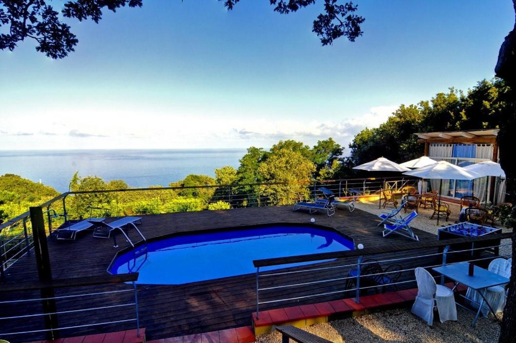 Photo of Others in Amantea