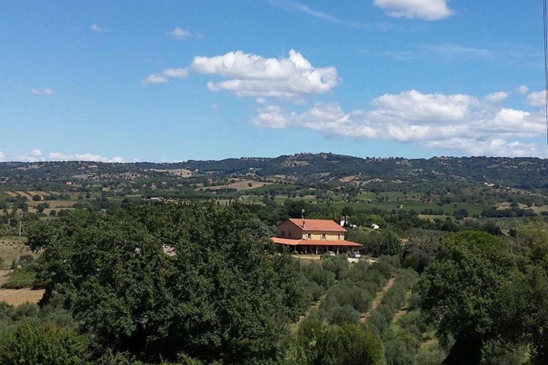 Photo of Others in Magliano in Toscana