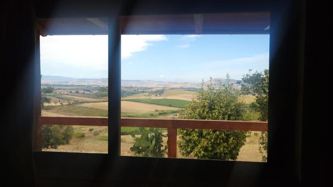 Photo of Others in San Martino in Pensilis