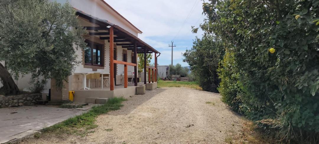 Photo of Others in San Martino in Pensilis