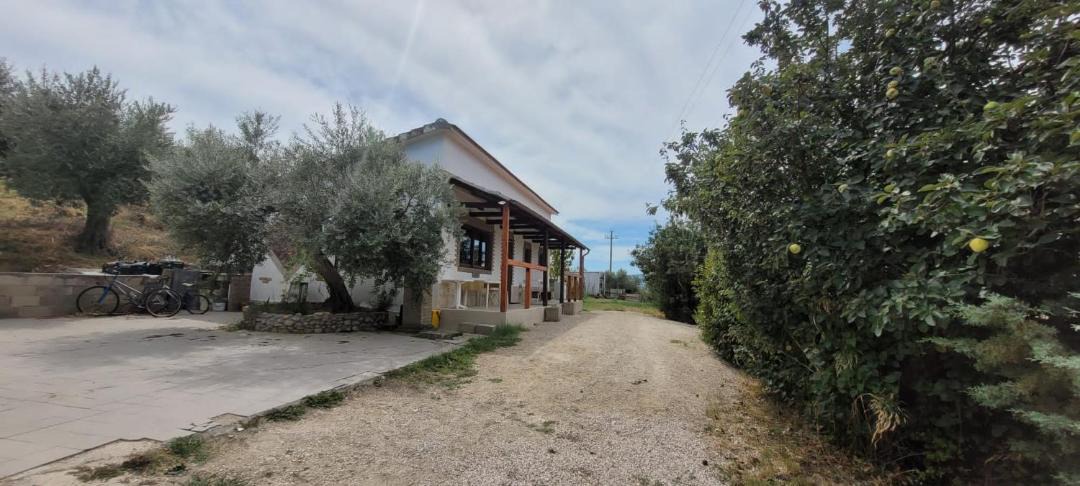 Photo of Others in San Martino in Pensilis