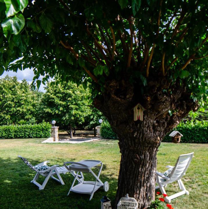 Photo of Others in Casaleggio Boiro