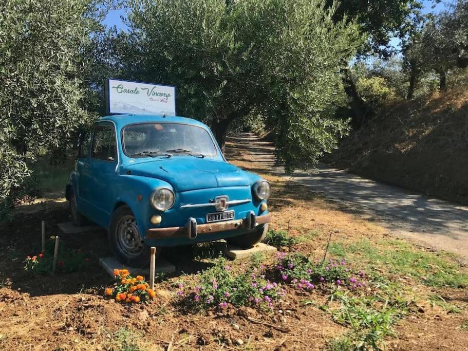 Photo of Others in Collecorvino