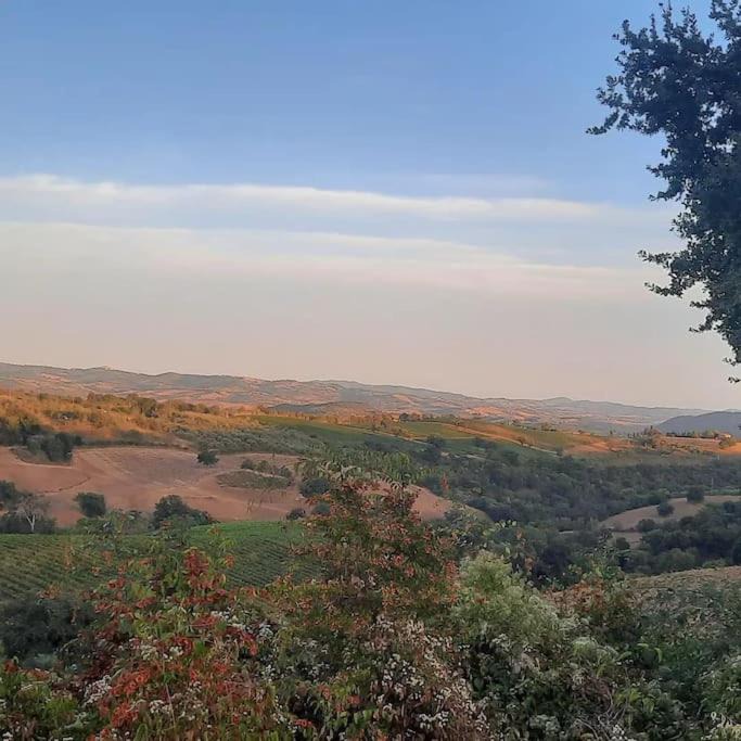 Photo of Others in Scansano