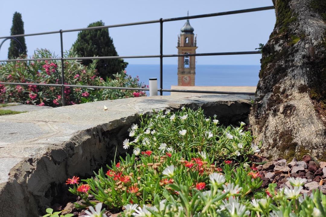 Photo of Others in Pieve Ligure