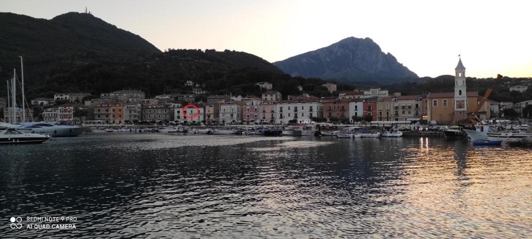 Photo of Others in Scario