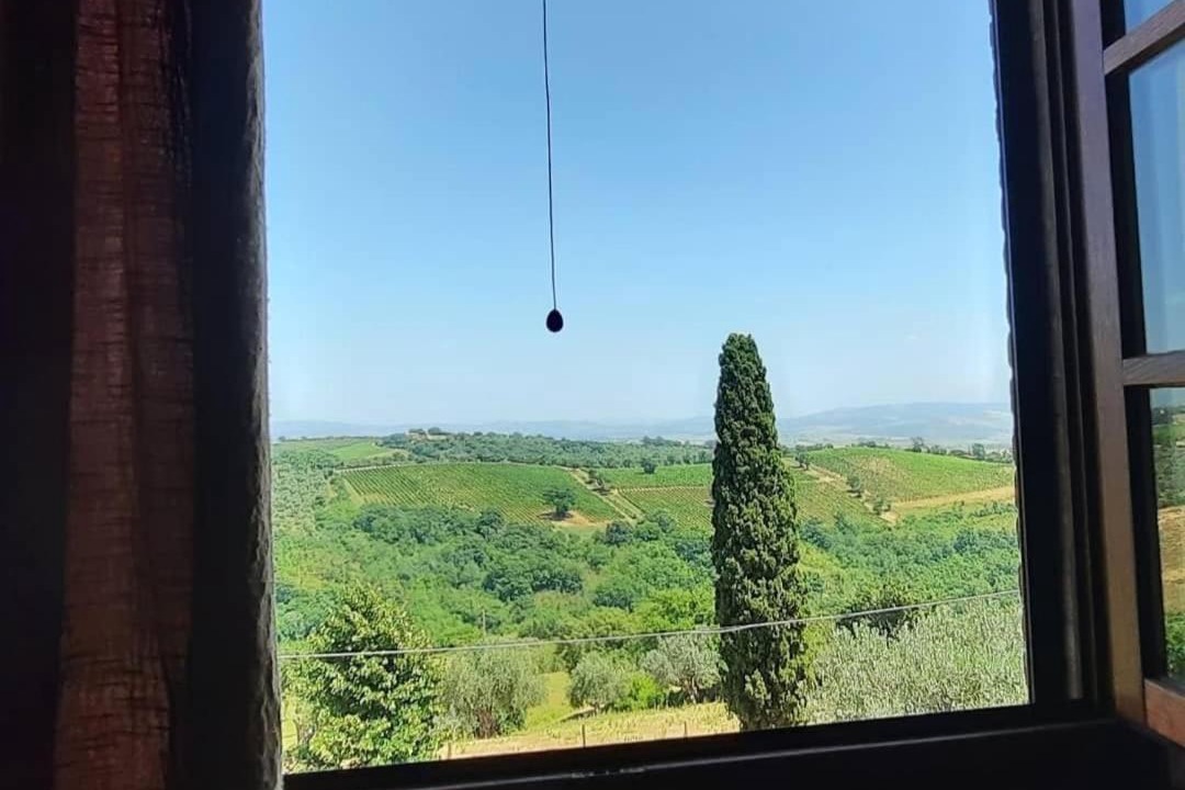 Photo of Others in Scansano