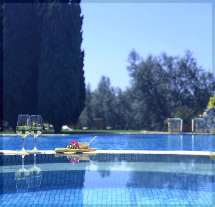 Photo of Others in Marina di Montalto