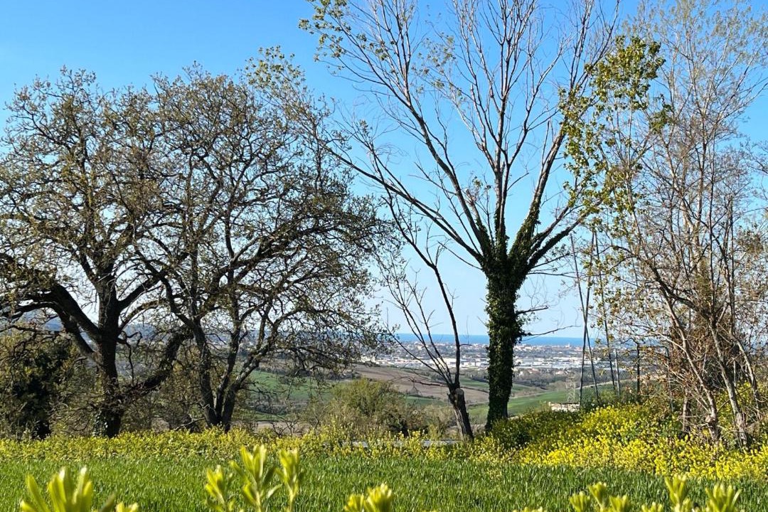 Photo of Others in Cerasa