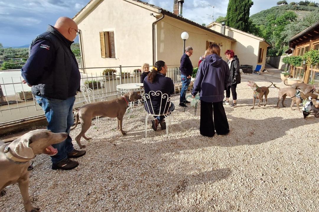 Photo of Others in Trevi
