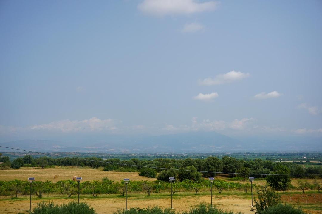 Photo of Others in San Nico