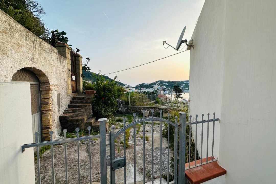 Photo of Others in Ponza