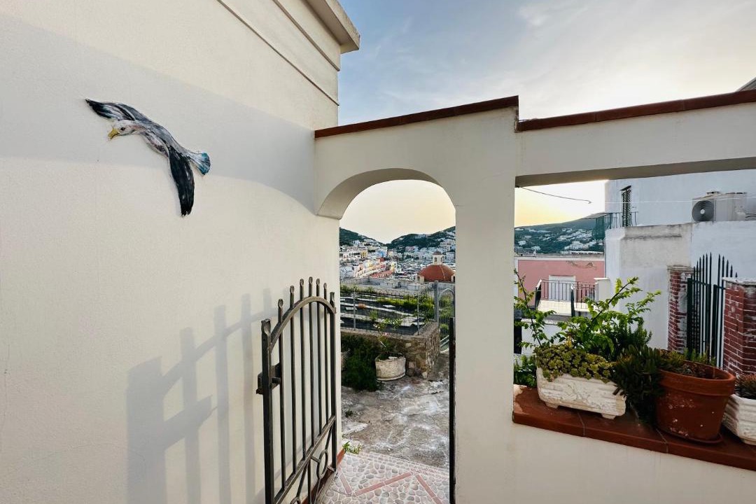 Photo of Others in Ponza