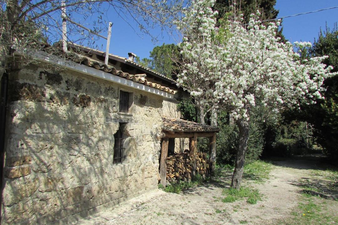 Photo of Others in Tocco da Casauria