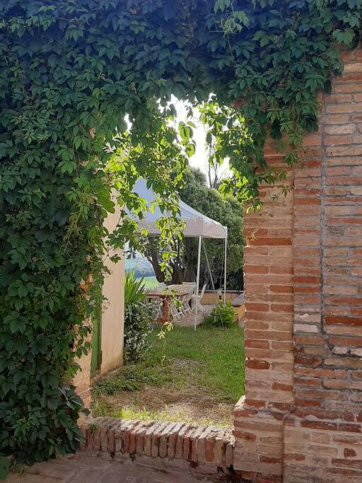 Photo of Others in Orciano di Pesaro