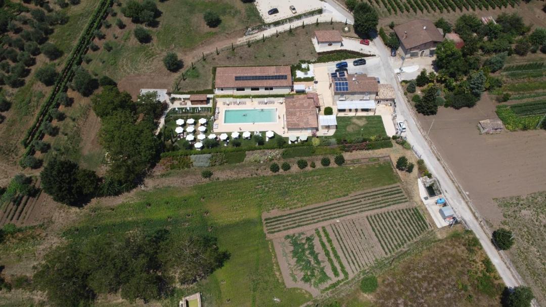 Photo of Others in Paternopoli