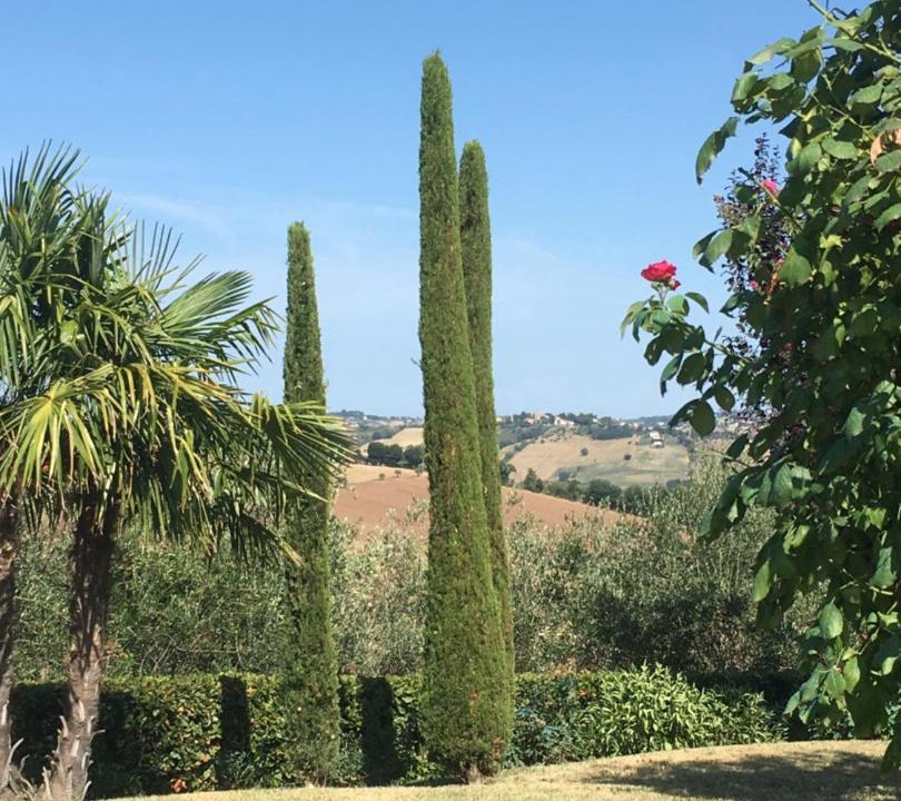 Photo of Others in Ostra Vetere