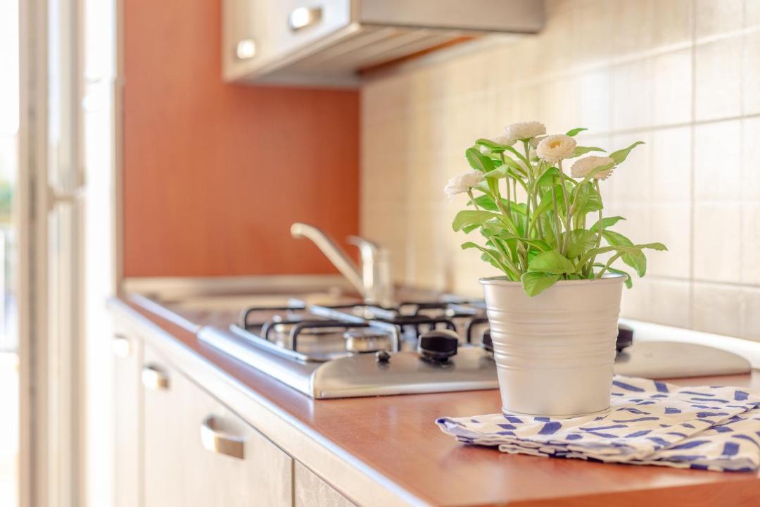 Photo of Kitchen in Cologna Spiaggia
