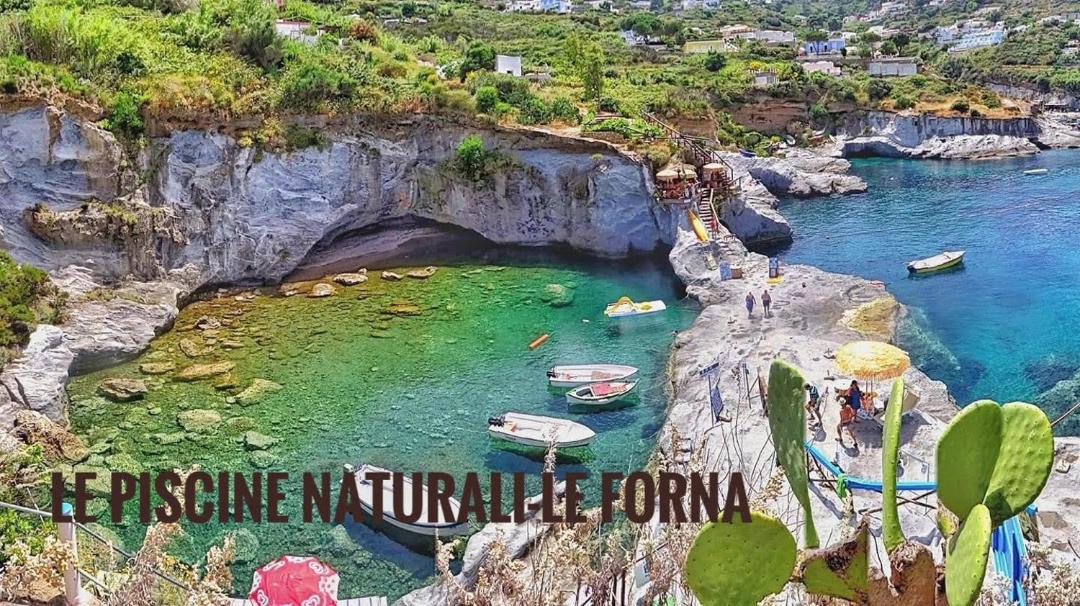 Photo of Others in Le Forna