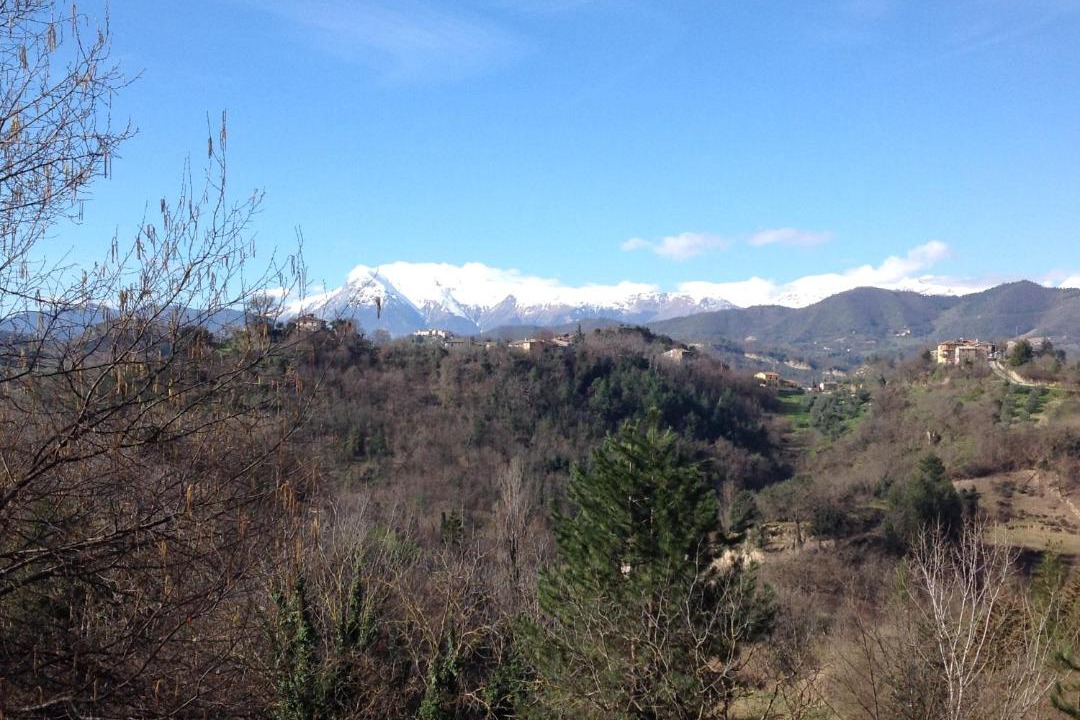 Photo of Others in Ascoli Piceno