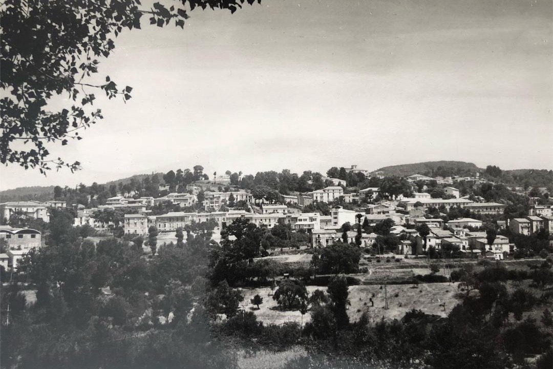 Photo of Others in Soveria Mannelli