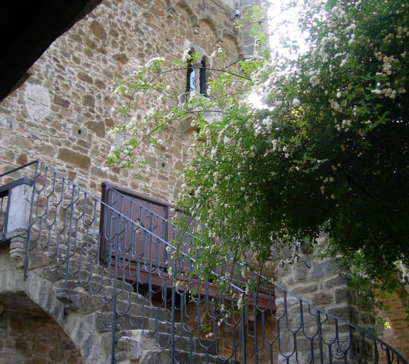 Photo of Others in Perugia