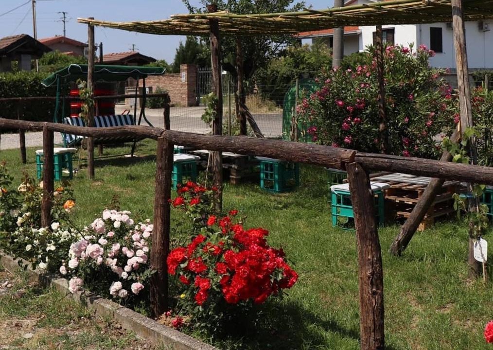 Photo of Others in Casteggio