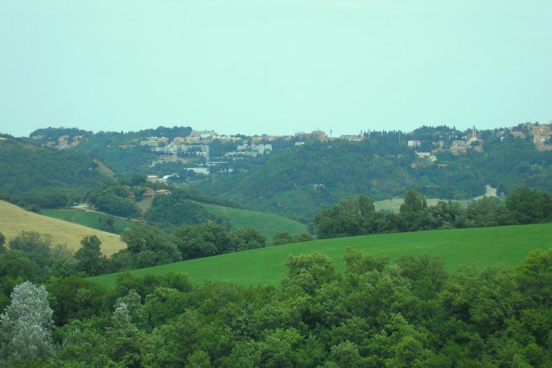 Photo of Others in Urbino