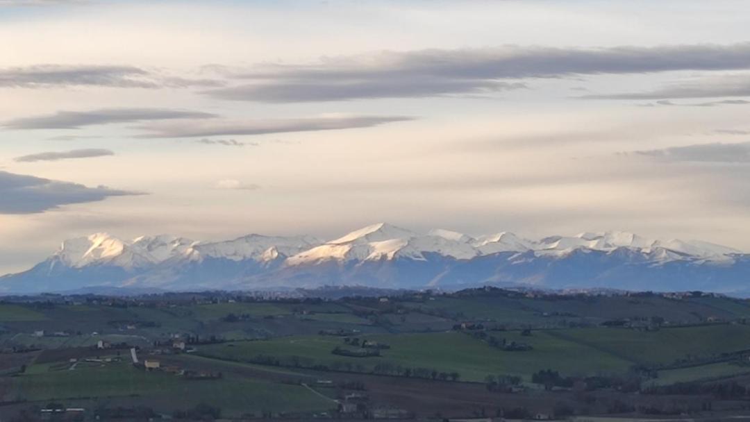 Photo of Others in Castelfidardo