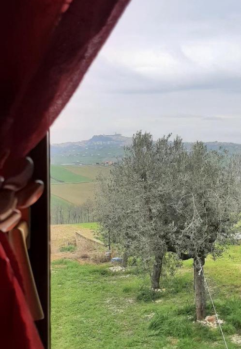Photo of Others in Fermo