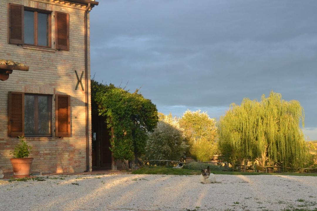 Photo of Others in Terre Roveresche