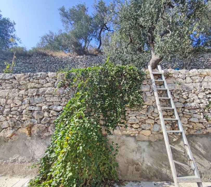 Photo of Others in Mattinata