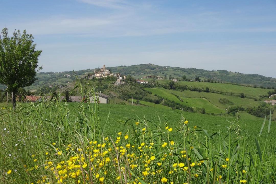 Photo of Others in Montetiffi