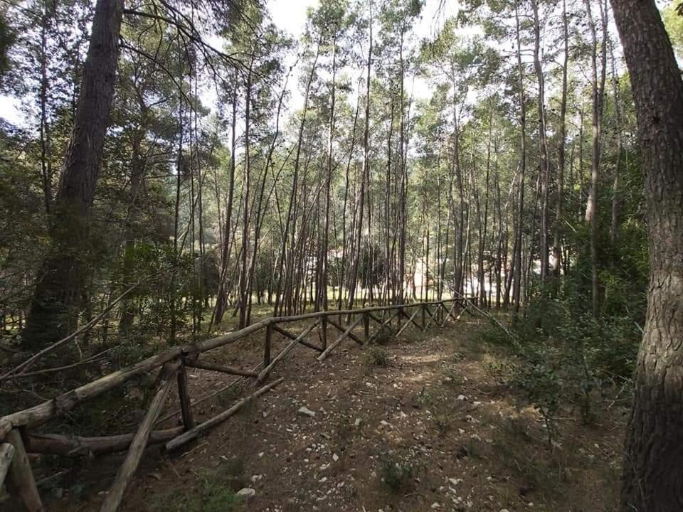 Photo of Others in Peschici