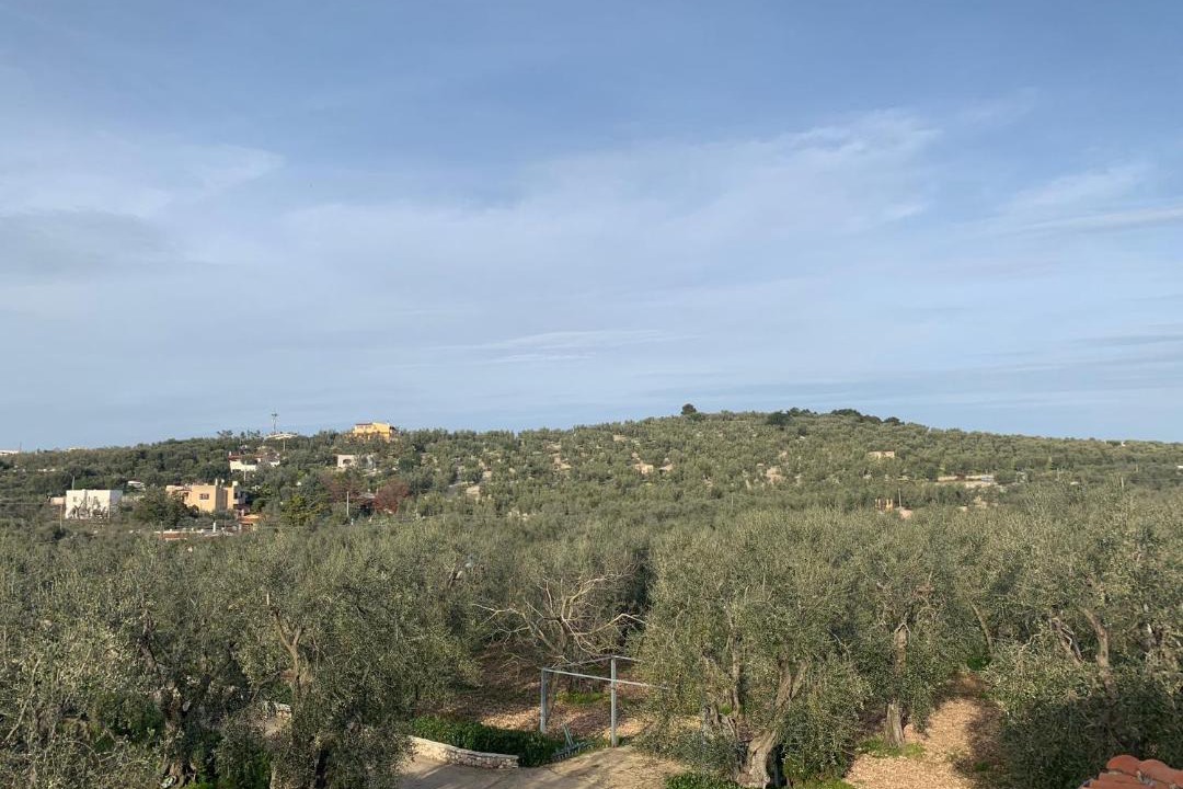 Photo of Others in Coppitella