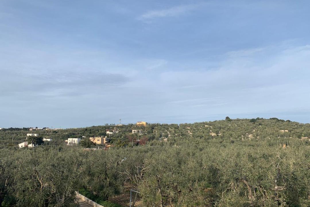 Photo of Others in Coppitella