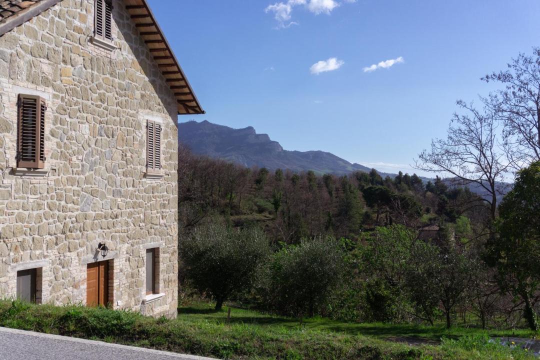 Photo of Buildings in Venarotta