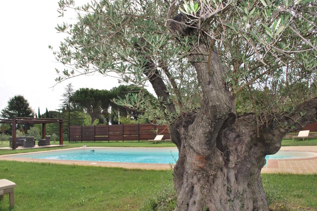 Photo of Others in Cannara