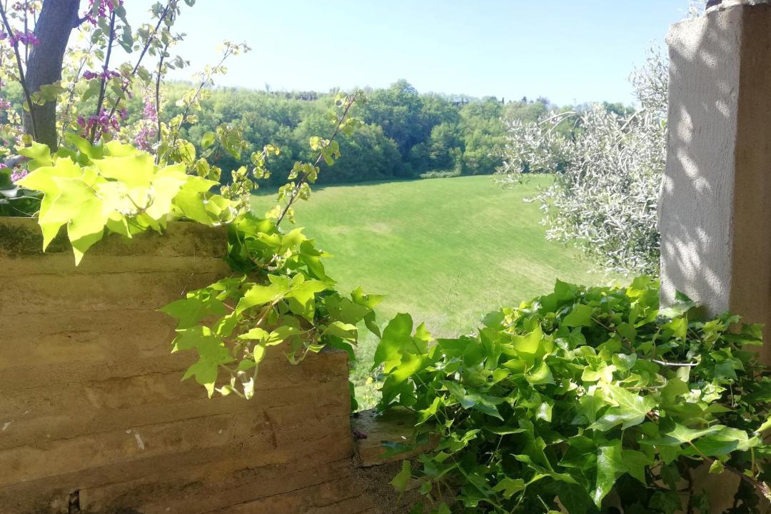 Photo of Others in Montefiore dell'Aso