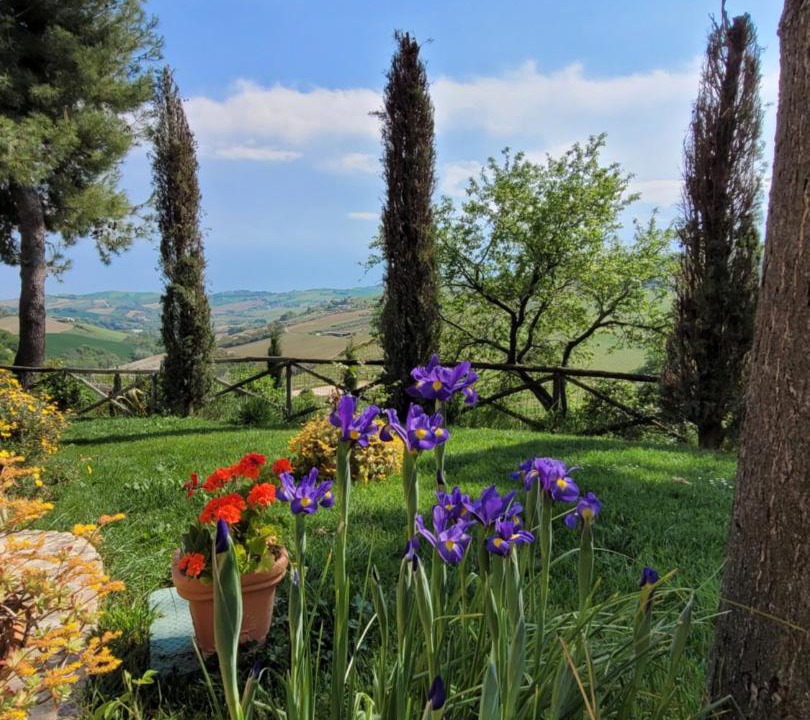Photo of Others in Cossignano