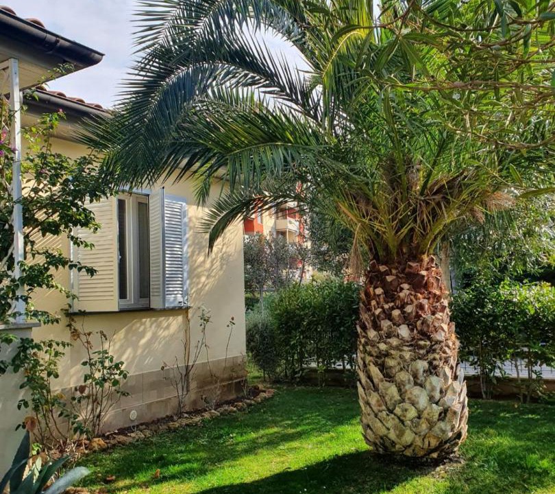 Photo of Others in Follonica