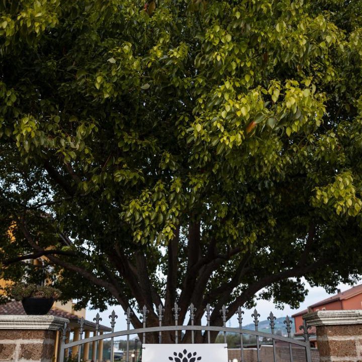 Photo of Others in Atri